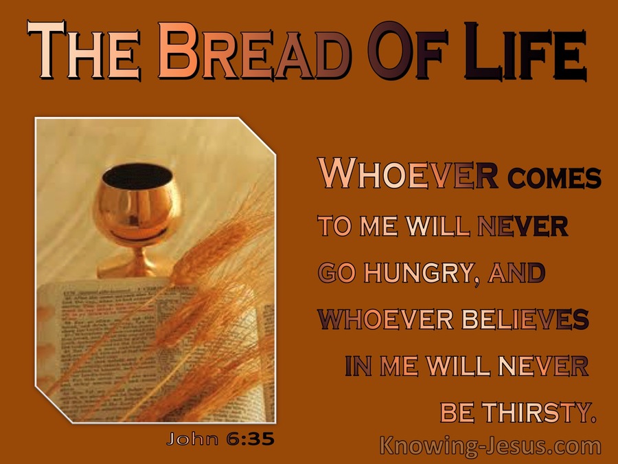 John 6:35 I am the bread of life (orange)
